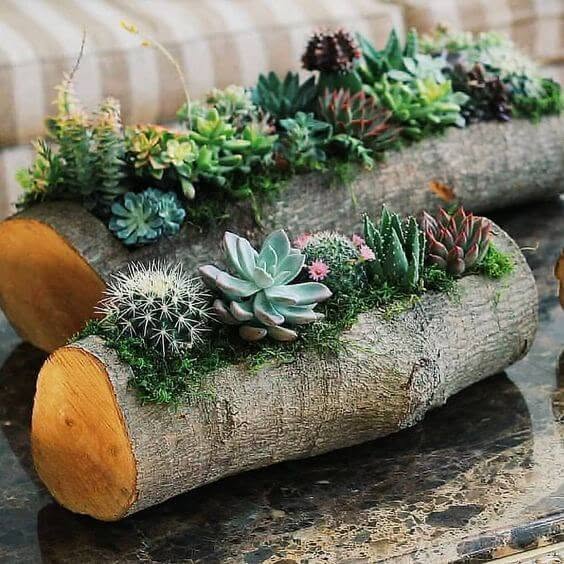 Rustic Log Planters with Succulent Arrangement